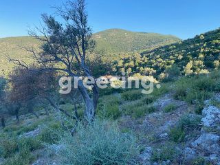 Οικόπεδο 8.153 τ.μ. για πώληση, Ν. Λευκάδας, Λευκάδα-thumb-4