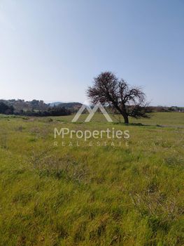 Αγροτεμάχια 12.130 τ.μ. προς πώληση