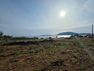 Αγροτεμάχια 8.084 τ.μ. για πώληση