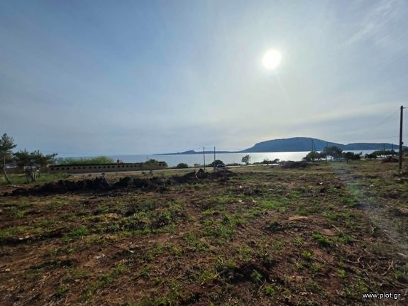 Αγροτεμάχια 8.084 τ.μ. για πώληση, Μεσσηνία, Γαργαλιάνοι