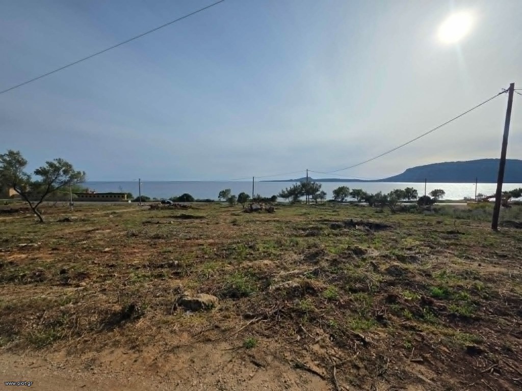 Αγροτεμάχια 8.084 τ.μ. προς πώληση, Μαραθόπολη