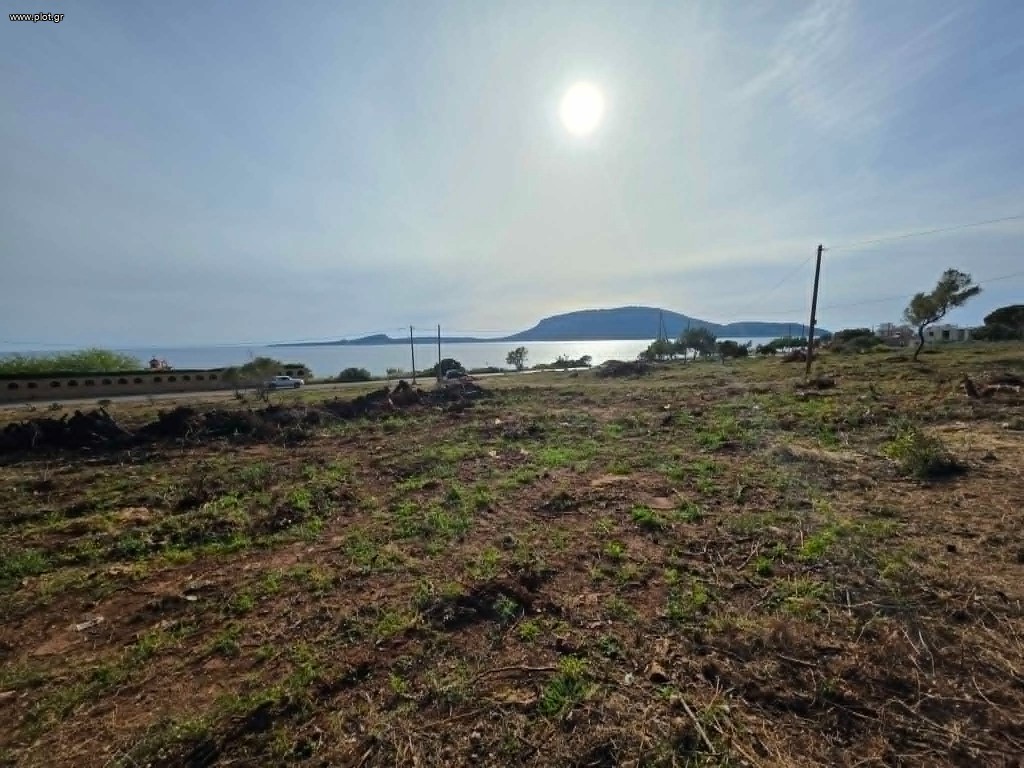 Αγροτεμάχια 8.084 τ.μ. προς πώληση, Μαραθόπολη