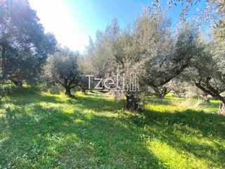 Οικόπεδο 908 τ.μ. για πώληση