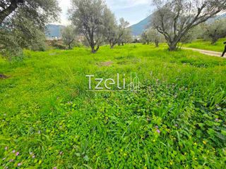 Οικόπεδο 2.000 τ.μ. για πώληση