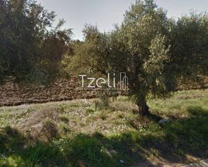 Άλλο 2.189 τ.μ. για ενοικίαση, Αχαΐα, Ωλένια-thumb-2