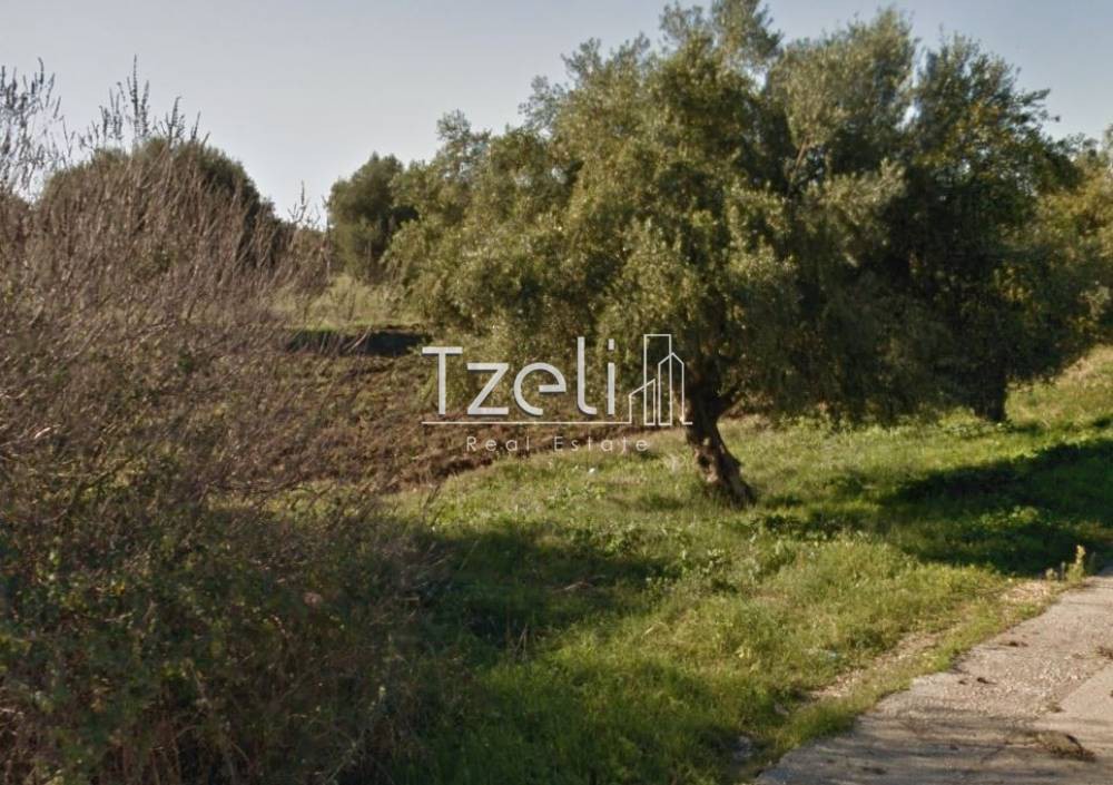 Άλλο 2.189 τ.μ. για ενοικίαση, Αχαΐα, Ωλένια
