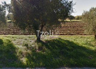 Άλλο 2.189 τ.μ. για ενοικίαση, Αχαΐα, Ωλένια-thumb-3