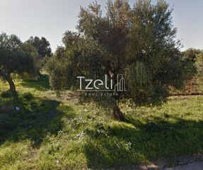 Άλλο 2.189 τ.μ. για ενοικίαση, Αχαΐα, Ωλένια-thumb-1