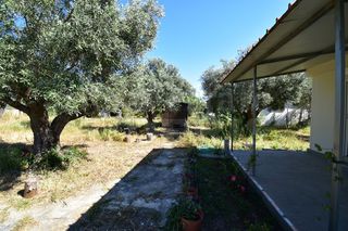 Μονοκατοικία 33 τ.μ. για ενοικίαση, Κορινθία, Λουτράκι-Περαχώρα-thumb-37