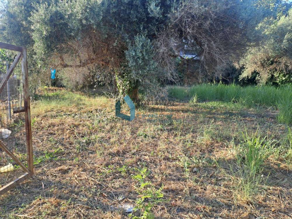 Οικόπεδο 505 τ.μ. προς πώληση, Προάστιο Πάτρας