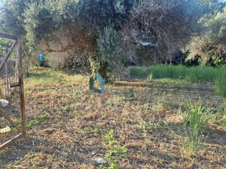 Οικόπεδο 505 τ.μ. προς πώληση, Προάστιο Πάτρας-thumb-1