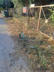 Οικόπεδο 505 τ.μ. προς πώληση, Προάστιο Πάτρας-thumb-7