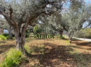 Οικόπεδο 1.071 τ.μ. για πώληση