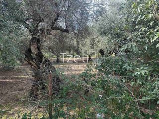 Οικόπεδο 490 τ.μ. για πώληση