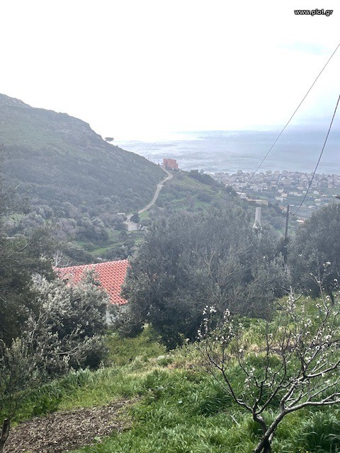 Οικόπεδο 850 τ.μ. προς πώληση, Μεκουνίδα