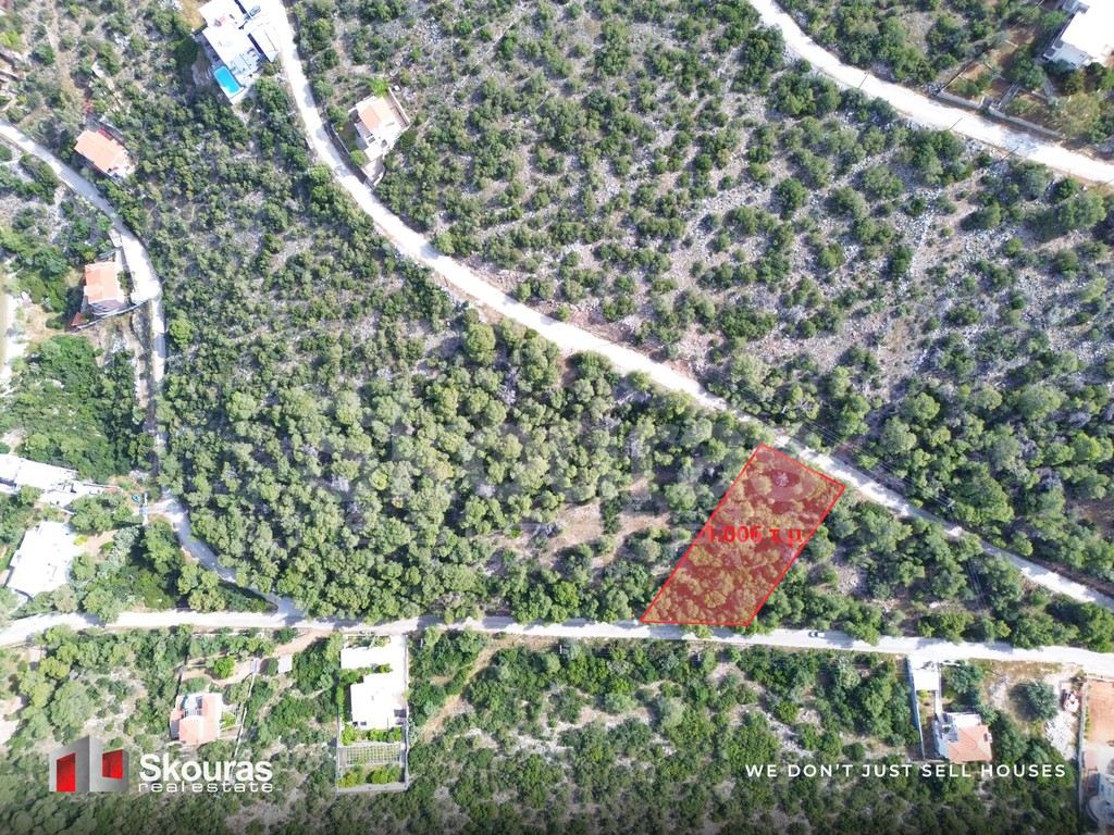 Οικόπεδο 1.006 τ.μ. προς πώληση, Πευκάλι