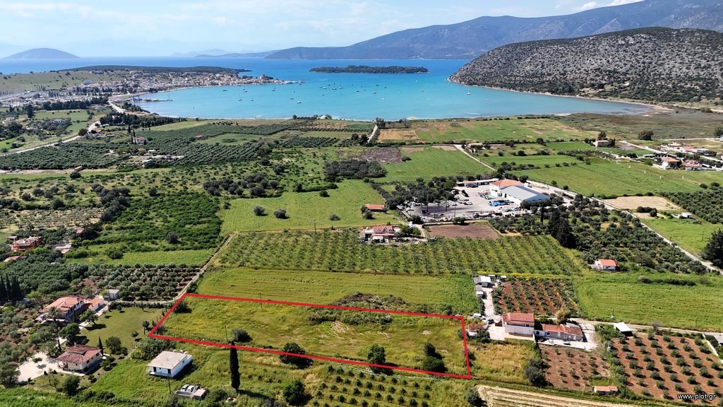 Αγροτεμάχια 5.024 τ.μ. για πώληση, Αργολίδα, Κρανίδι