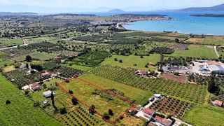 Αγροτεμάχια 5.024 τ.μ. για πώληση, Αργολίδα, Κρανίδι-thumb-1