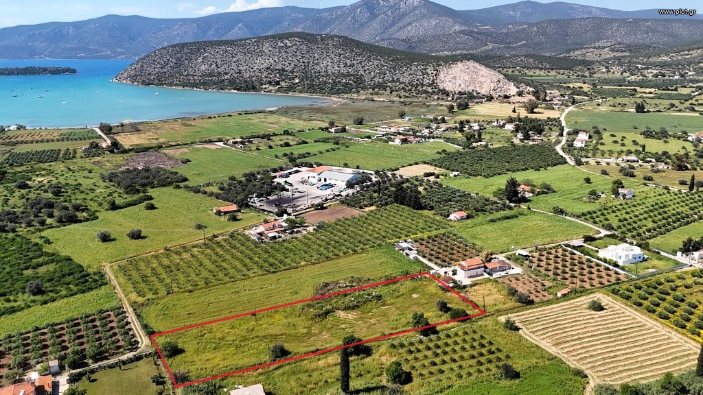 Αγροτεμάχια 5.024 τ.μ. πρός πώληση, Αργολίδα, Κρανίδι