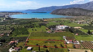 Αγροτεμάχια 5.024 τ.μ. για πώληση, Αργολίδα, Κρανίδι-thumb-5