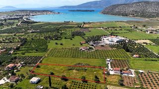 Αγροτεμάχια 5.024 τ.μ. για πώληση, Αργολίδα, Κρανίδι-thumb-9