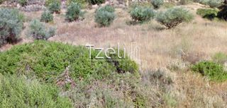 Αγροτεμάχια 27.500 τ.μ. για πώληση