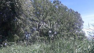 Οικόπεδο 1.000 τ.μ. για πώληση