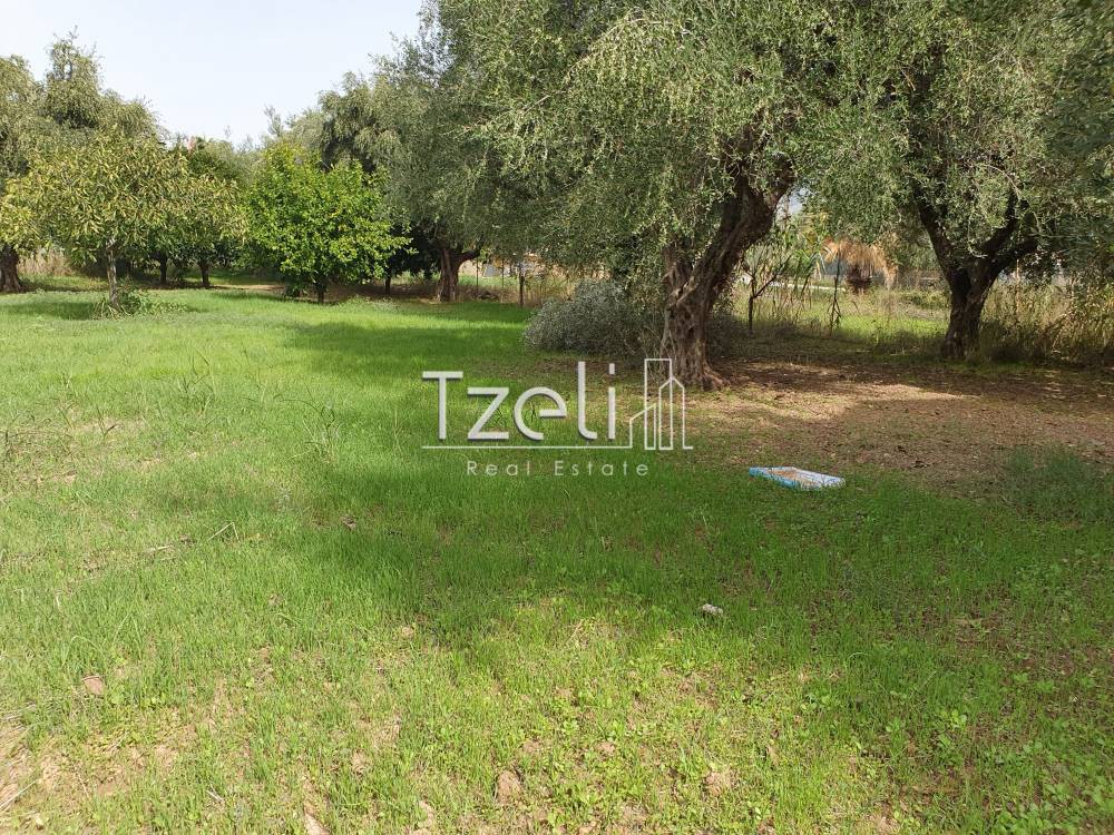 Οικόπεδο 1.360 τ.μ. για πώληση, Αχαΐα, Μεσσατίδα