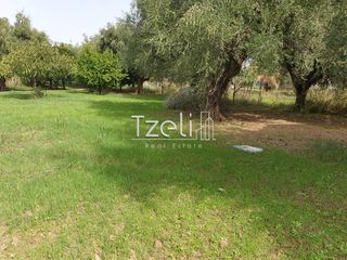 Οικόπεδο 1.360 τ.μ. για πώληση