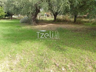 Οικόπεδο 1.360 τ.μ. για πώληση, Αχαΐα, Μεσσατίδα-thumb-4