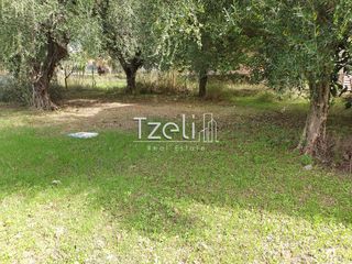 Οικόπεδο 1.360 τ.μ. για πώληση, Αχαΐα, Μεσσατίδα-thumb-1