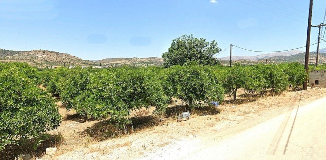 Αγροτεμάχια 7.350 τ.μ. προς πώληση, Άγιος Αδριανός