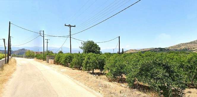 Αγροτεμάχια 7.350 τ.μ. προς πώληση, Άγιος Αδριανός