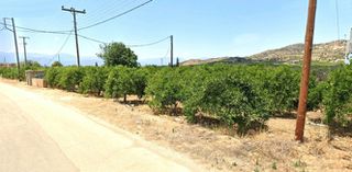 Αγροτεμάχια 7.350 τ.μ. για πώληση