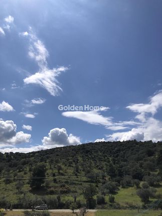Parcel 14.000 sqm for sale, Argosaronikos Islands, Trizina