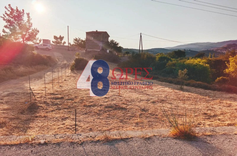 Οικόπεδο 293 τ.μ. προς πώληση, Αμάνη