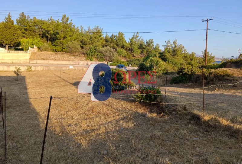 Οικόπεδο 293 τ.μ. προς πώληση, Αμάνη
