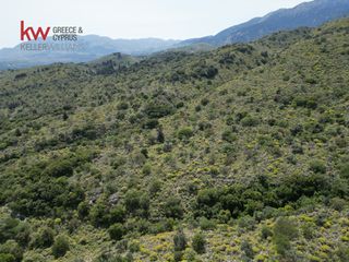 Οικόπεδο 680.000 τ.μ. για πώληση, Ν. Χανίων, Φρέ-thumb-14