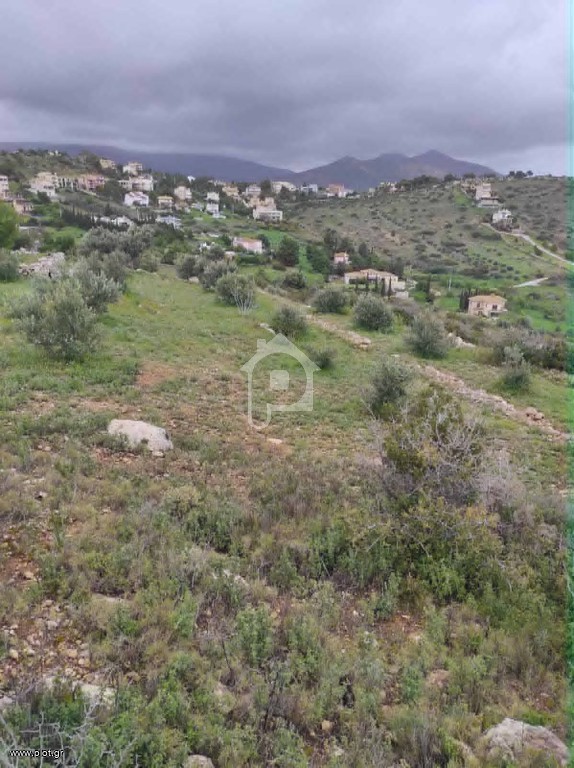 Οικόπεδο 5.000 τ.μ. προς πώληση, Ντράφι