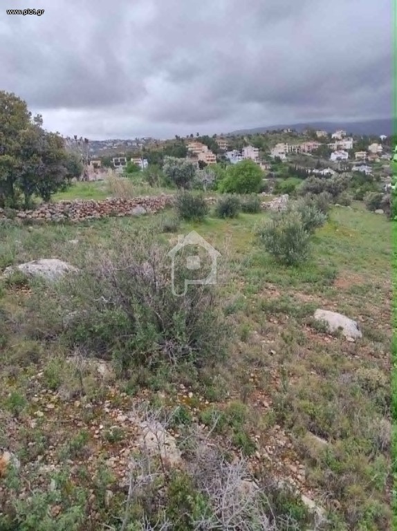 Οικόπεδο 5.000 τ.μ. προς πώληση, Ντράφι