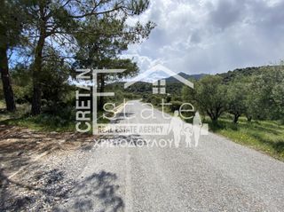 Αγροτεμάχια 1.523 τ.μ. για πώληση