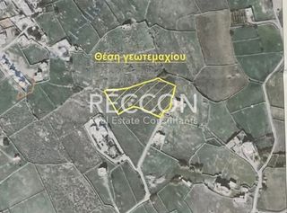 Αγροτεμάχια 4.006 τ.μ. για πώληση