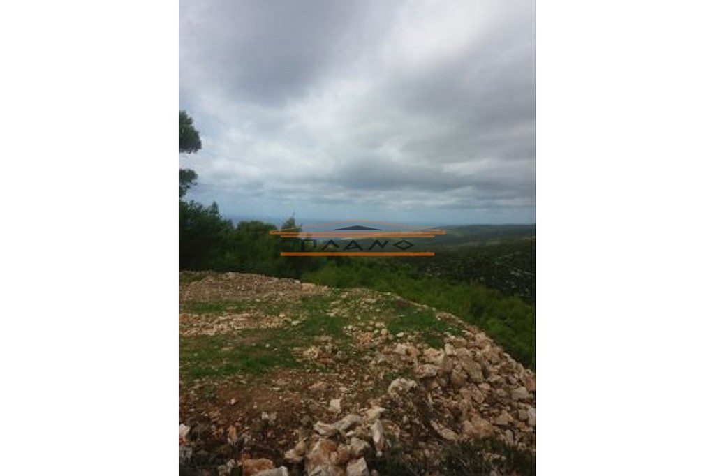 Οικόπεδο 17.000 τ.μ. προς πώληση, Μαραθιάς Λαγανά