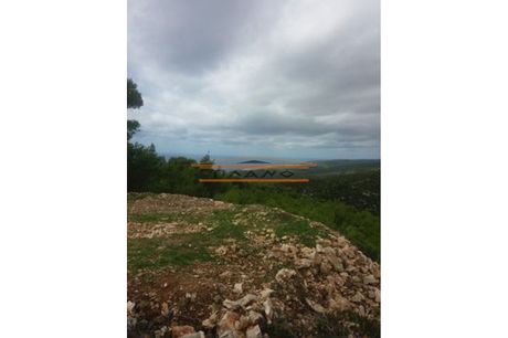 Οικόπεδο 17.000 τ.μ. προς πώληση