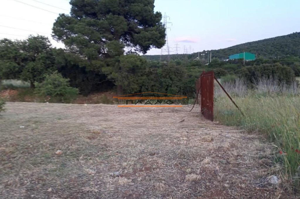 Οικόπεδο 930 τ.μ. προς πώληση, Κέντρο Βιλίων