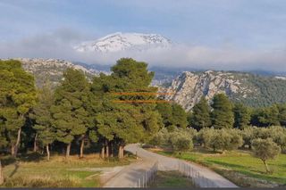 Μονοκατοικία 105 τ.μ. για πώληση, Εύβοια, Αρτεμίσιο-thumb-13