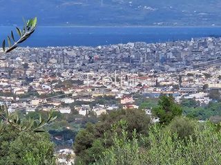 Οικόπεδο 8.100 τ.μ. για πώληση, Αχαΐα, Μεσσατίδα-thumb-23