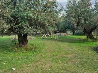 Οικόπεδο 8.100 τ.μ. για πώληση, Αχαΐα, Μεσσατίδα-thumb-20