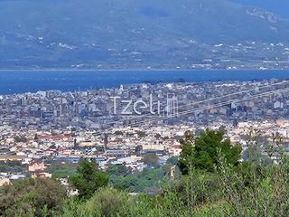 Οικόπεδο 8.100 τ.μ. για πώληση, Αχαΐα, Μεσσατίδα-thumb-1
