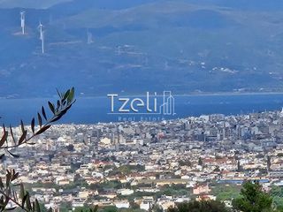 Οικόπεδο 8.100 τ.μ. για πώληση, Αχαΐα, Μεσσατίδα-thumb-8